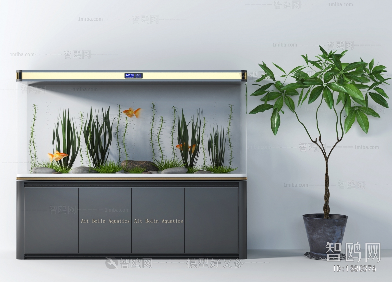 Modern Fish Tank