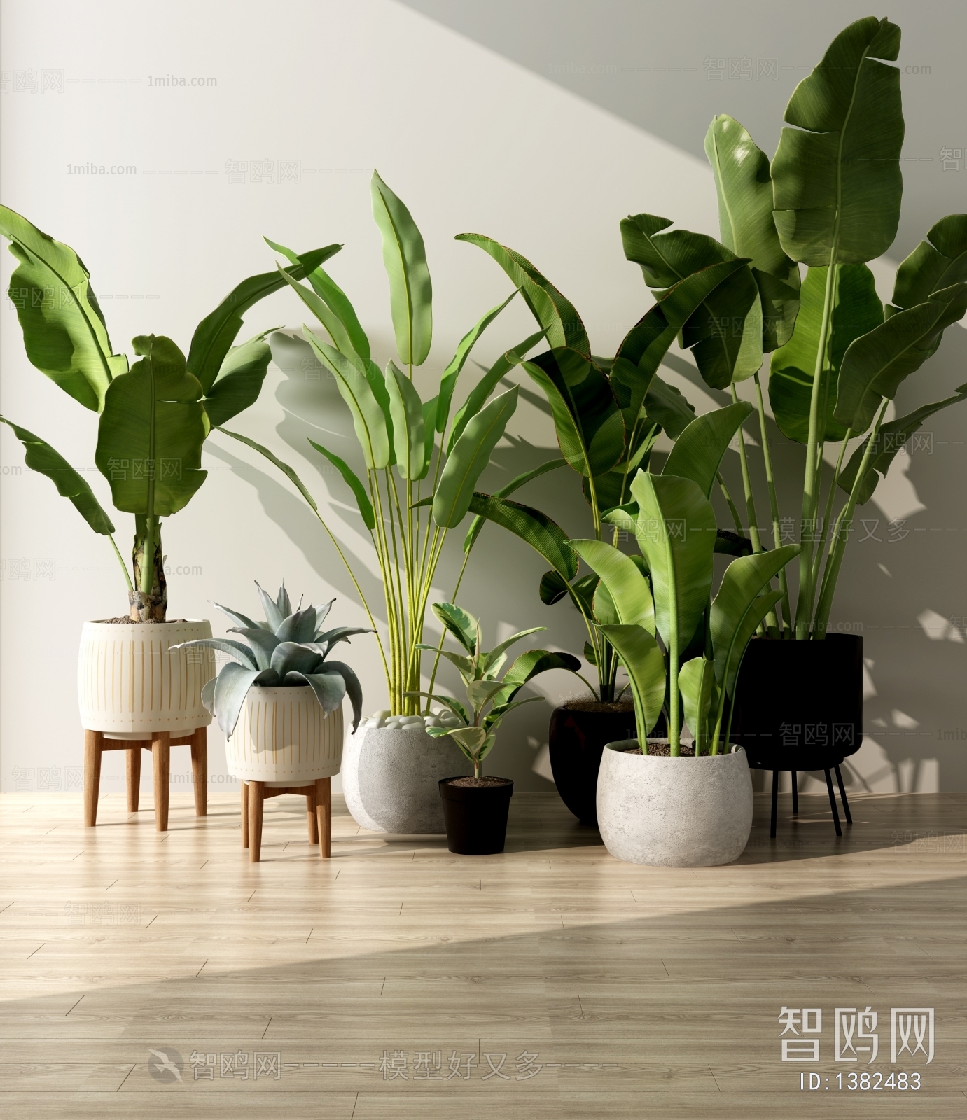 Modern Potted Green Plant