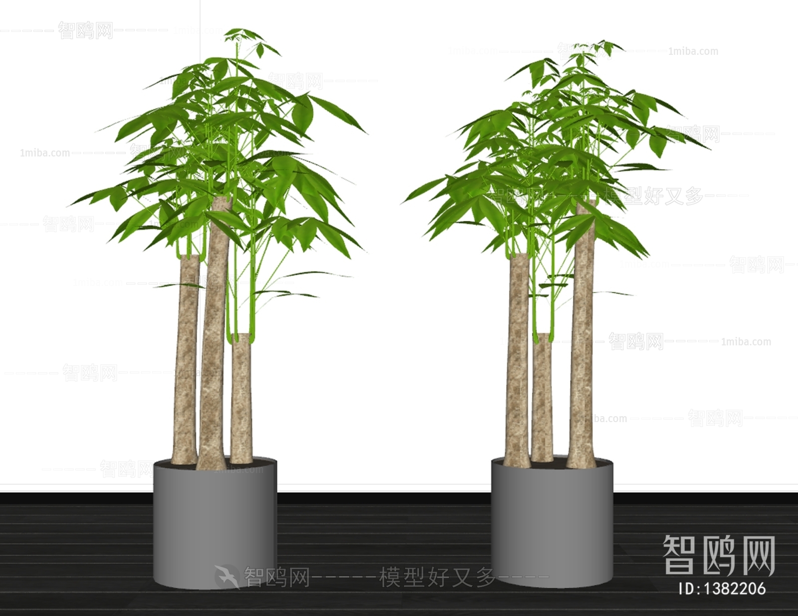 现代植物盆栽