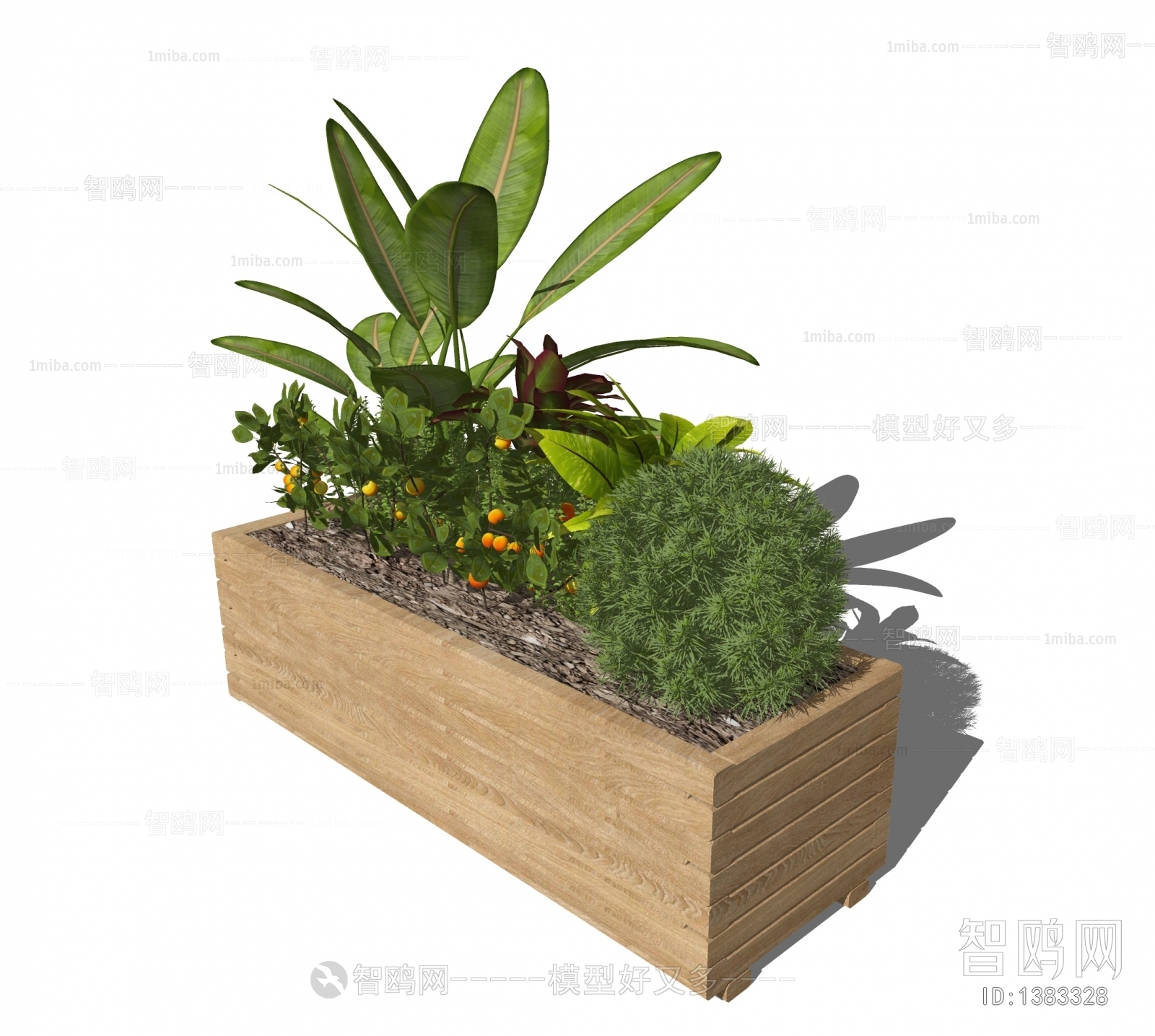 现代灌木绿植花箱