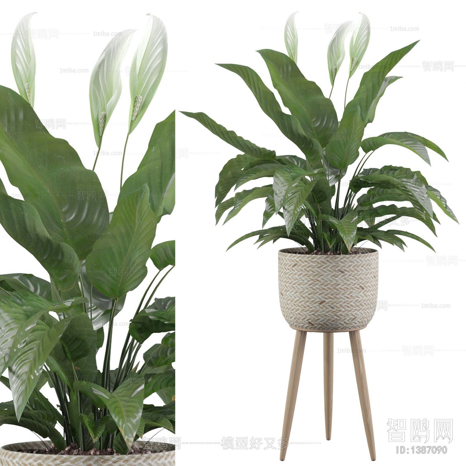 Modern Potted Green Plant