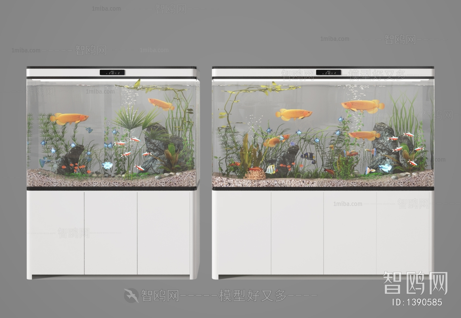 Modern Fish Tank