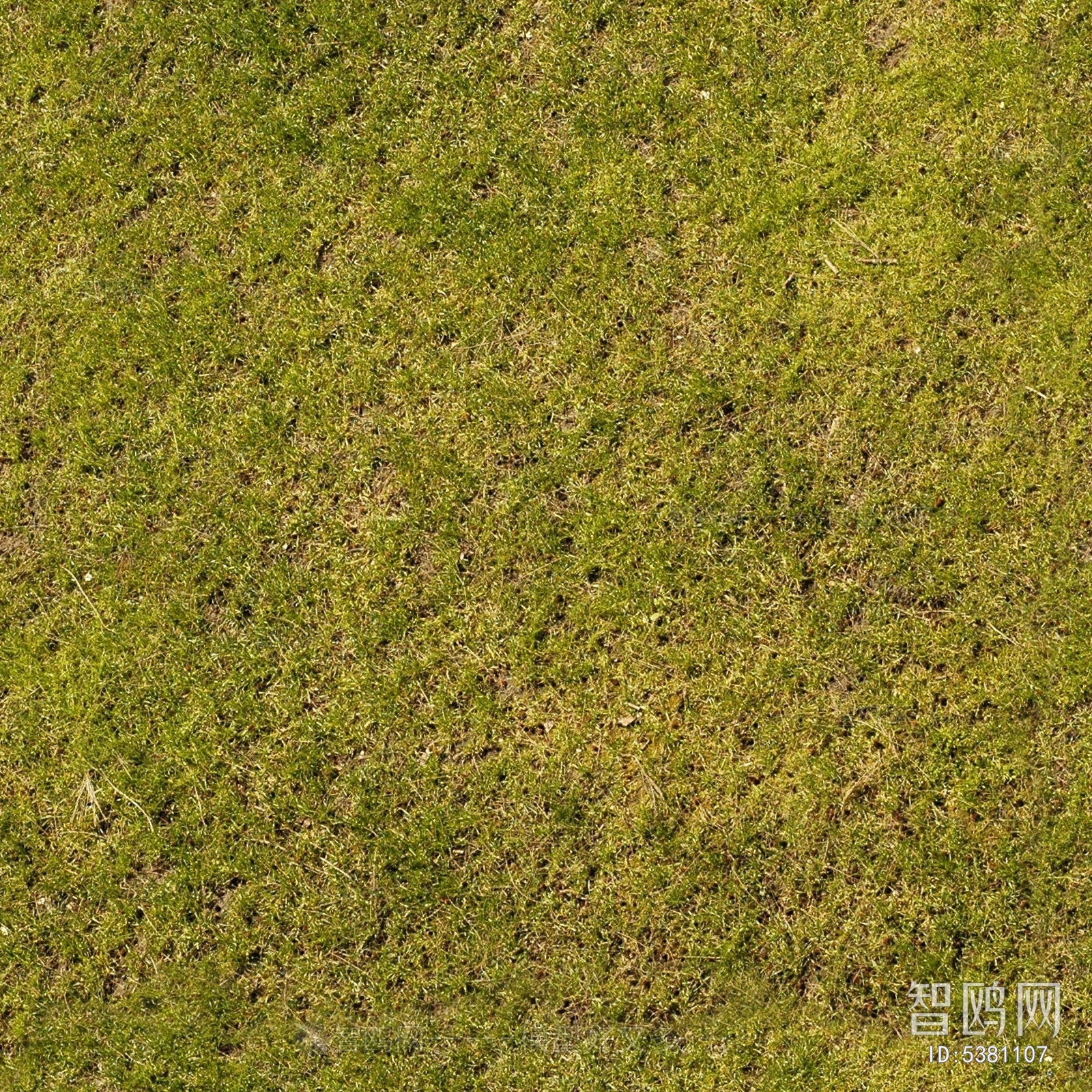 高清泥土草地绿植落叶地面