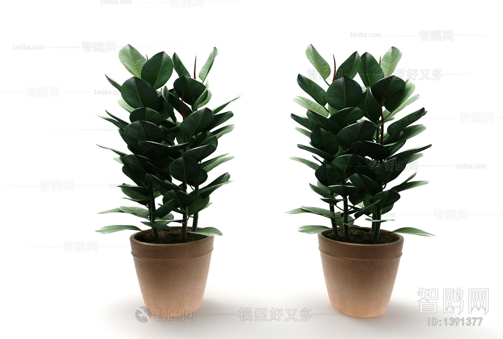 Modern Potted Green Plant