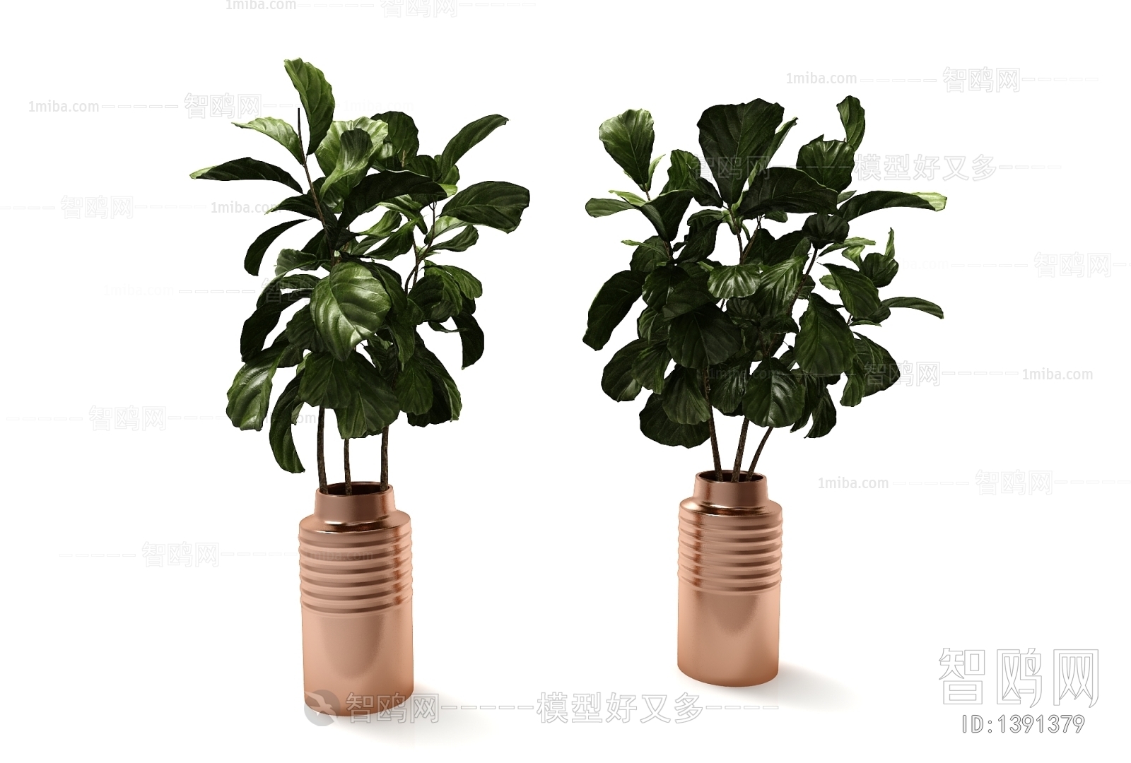 Modern Potted Green Plant