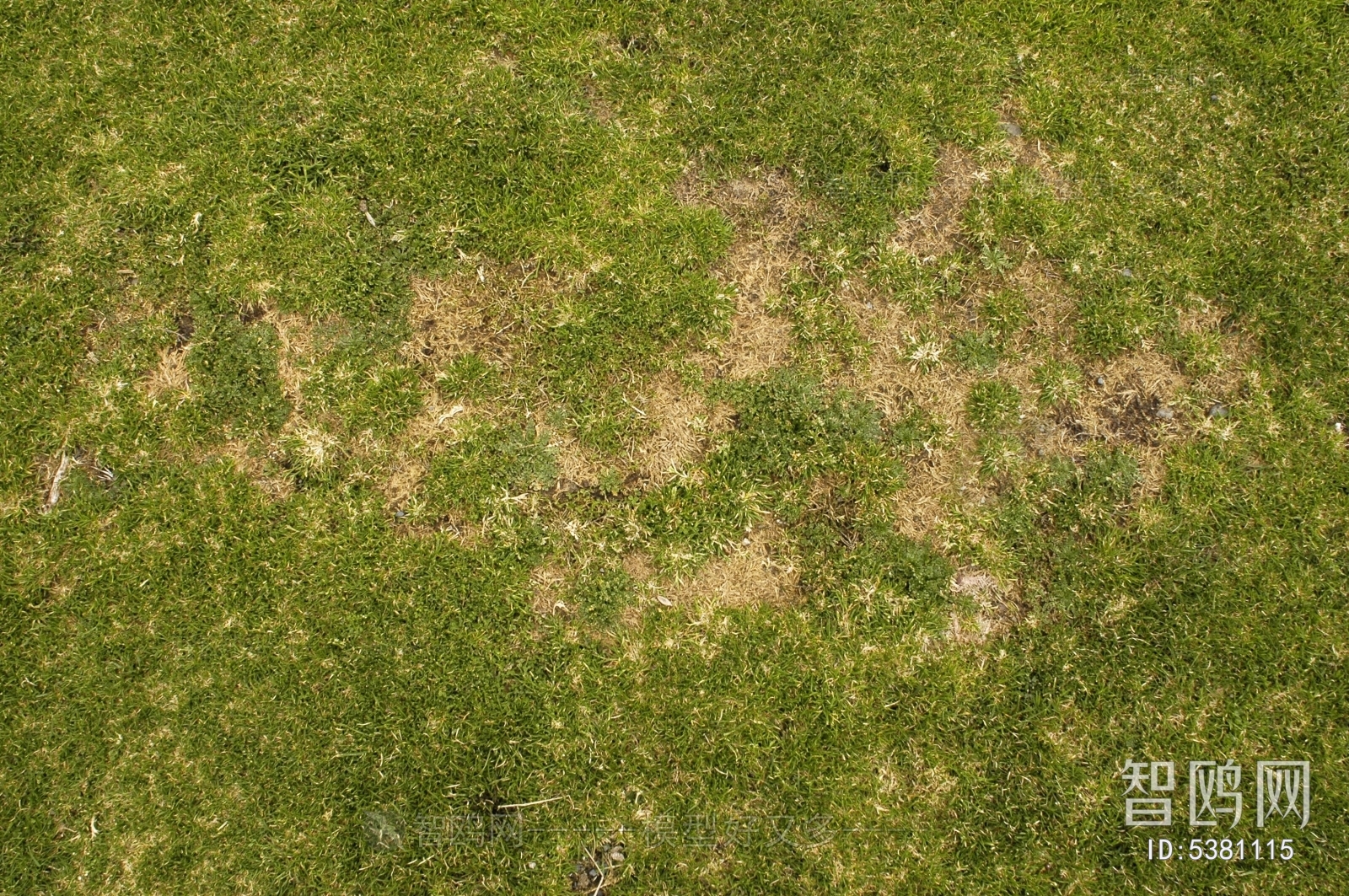 高清泥土草地绿植落叶地面