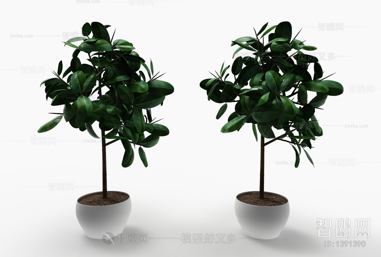 Modern Potted Green Plant