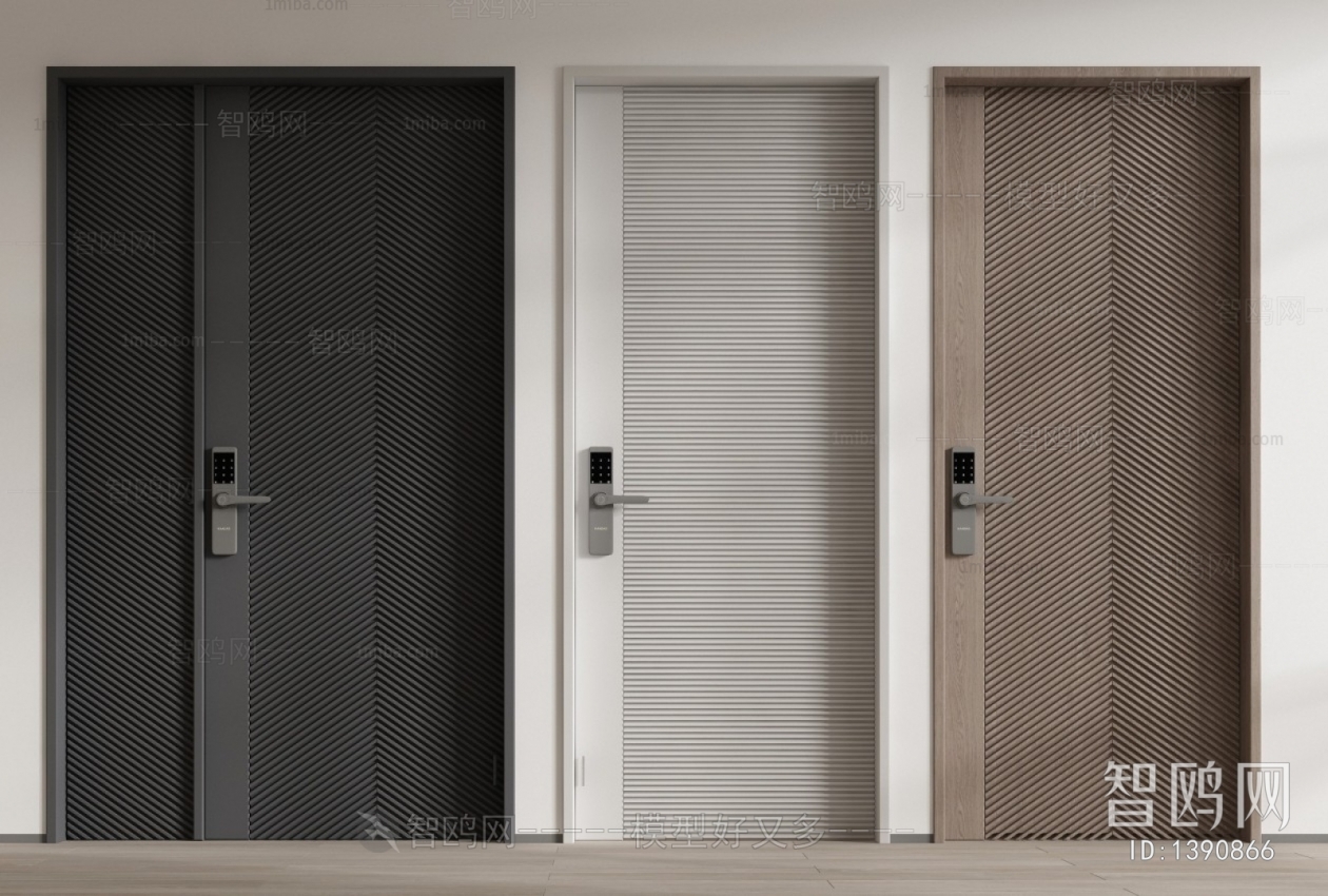 Modern Entrance Door