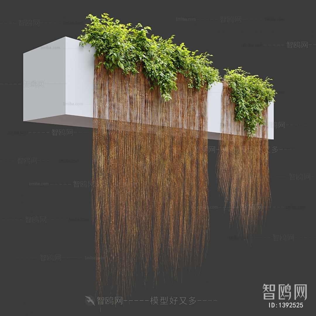 现代植物墙吊兰