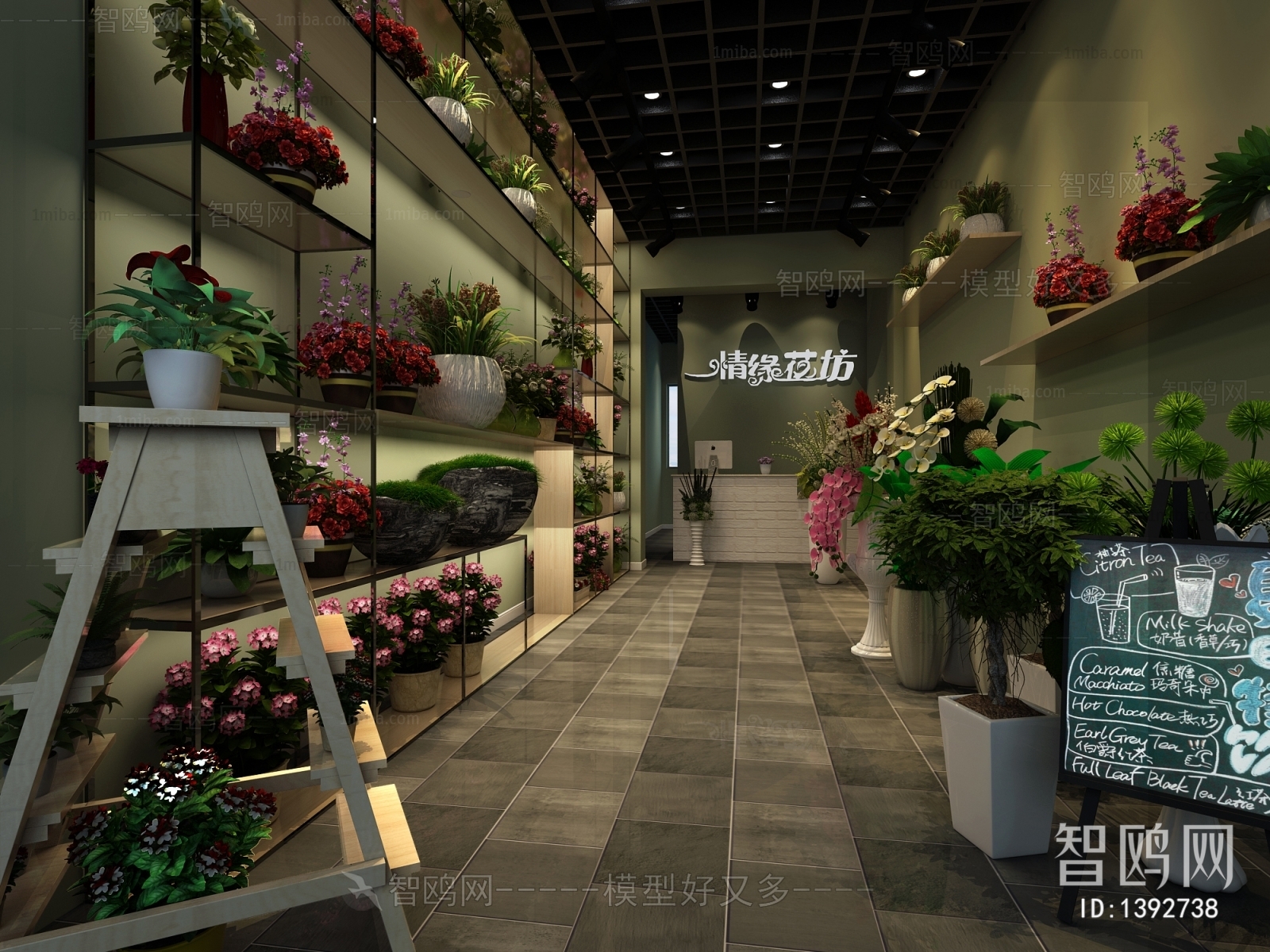 Modern Flower Shop