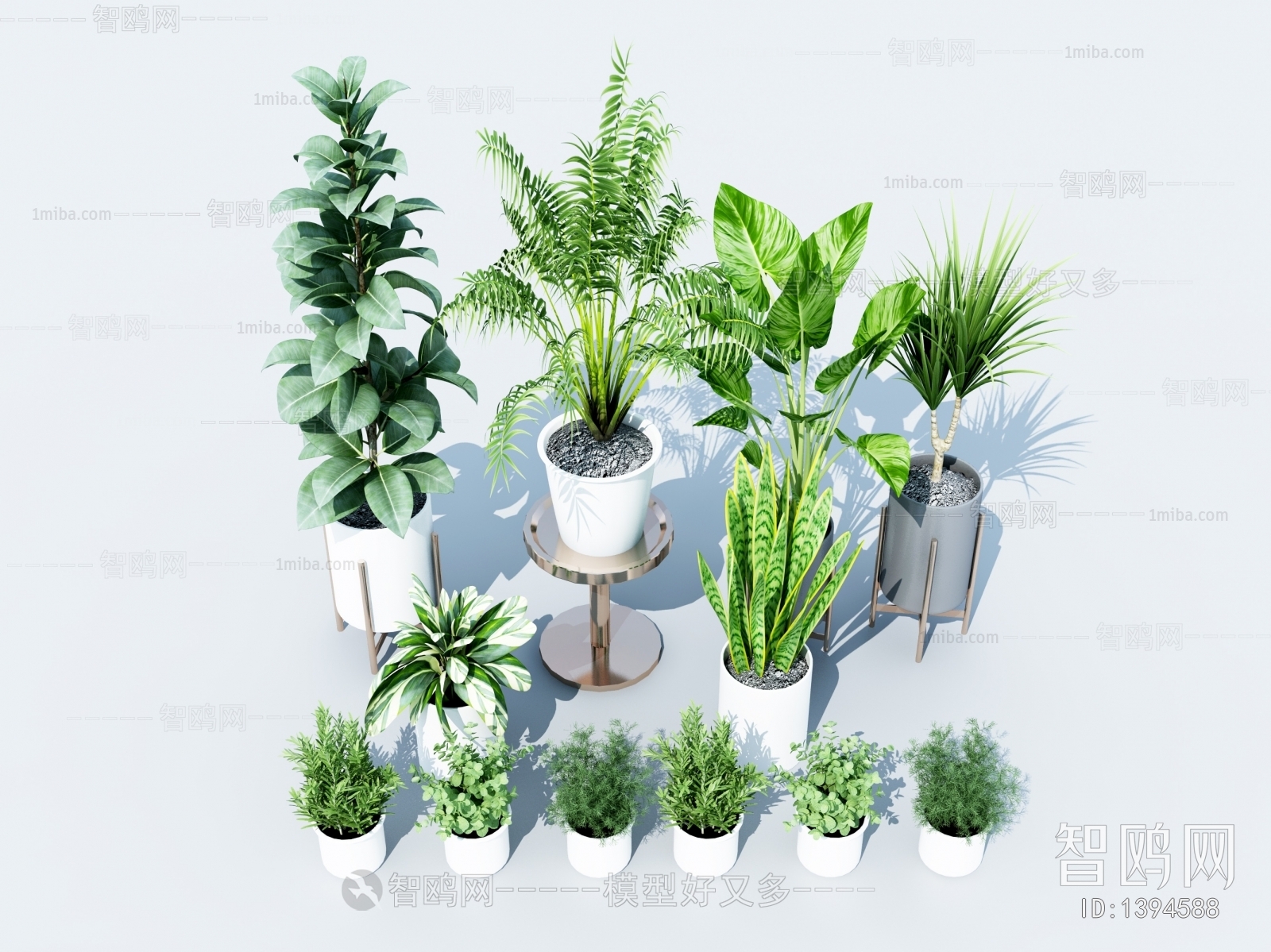 Modern Potted Green Plant