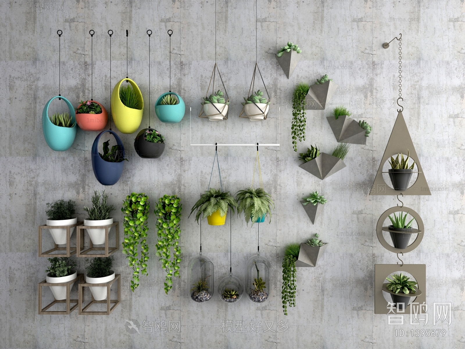 Modern Chlorophytum Comosum