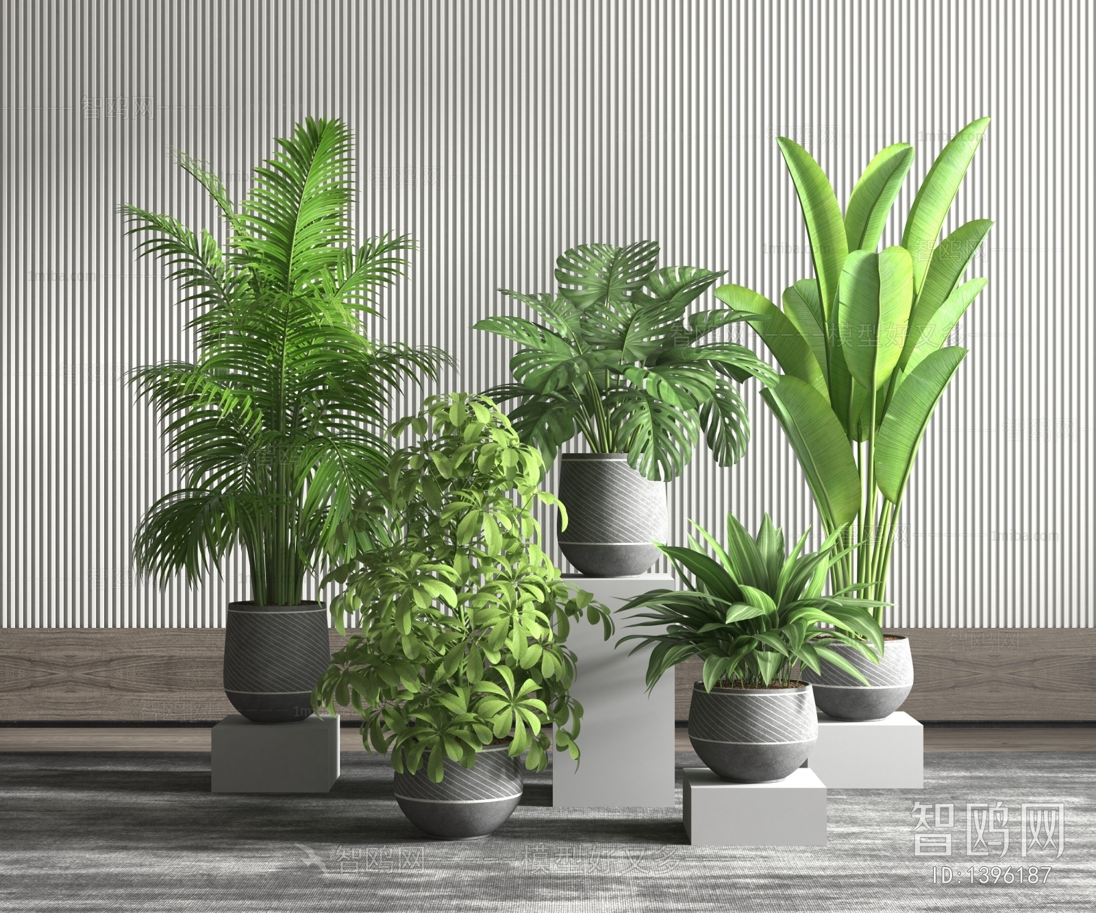 Modern Potted Green Plant