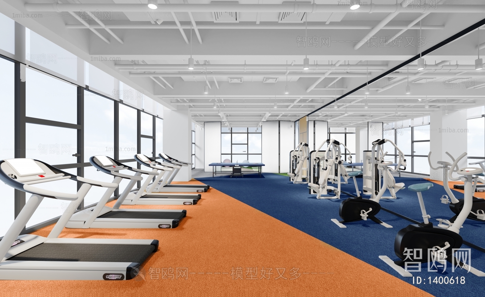 Modern Gym