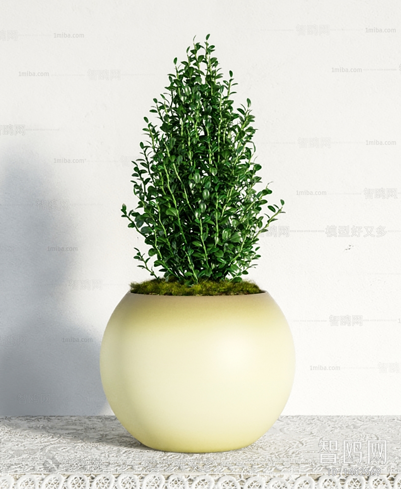 Modern Potted Green Plant