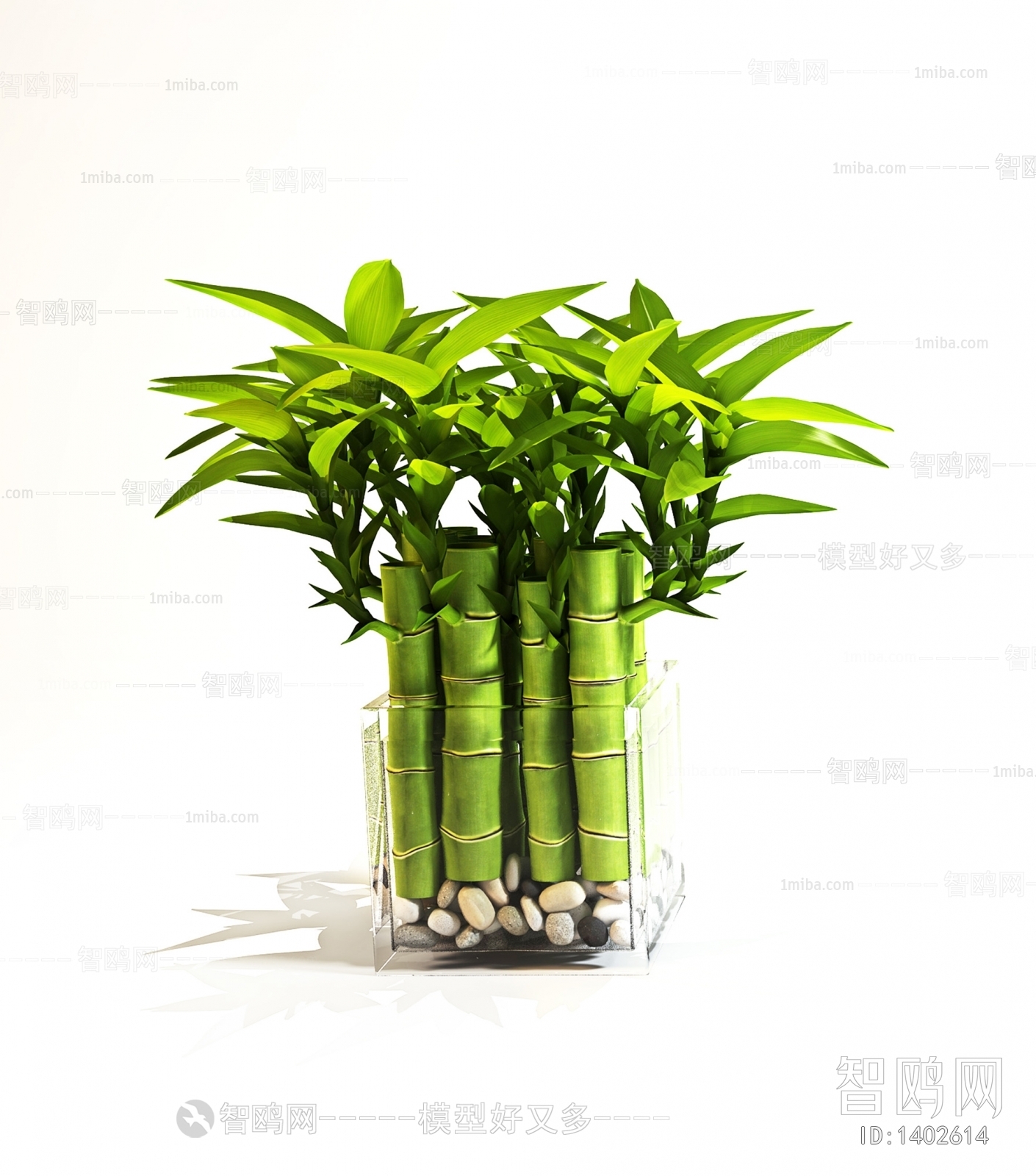 Modern Potted Green Plant