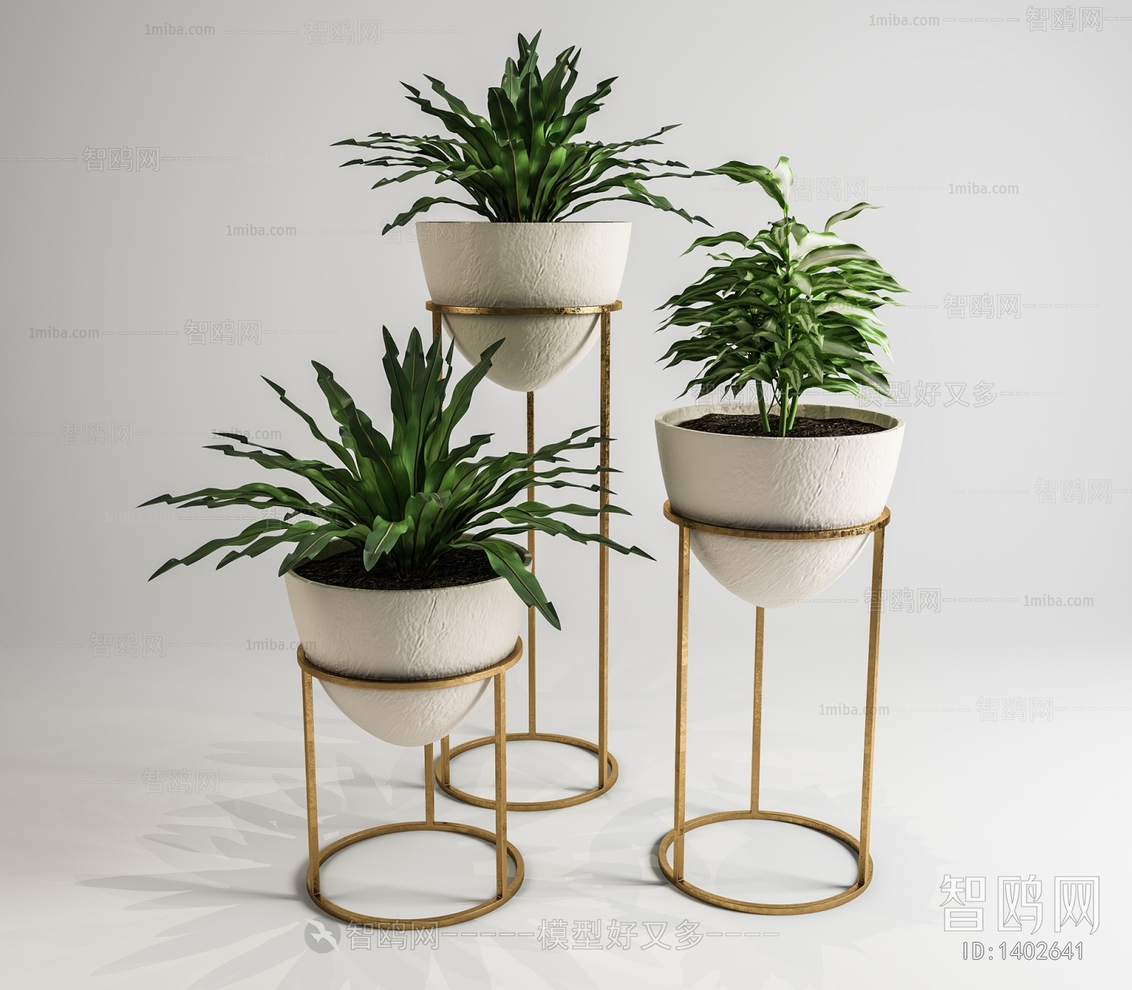 Modern Potted Green Plant