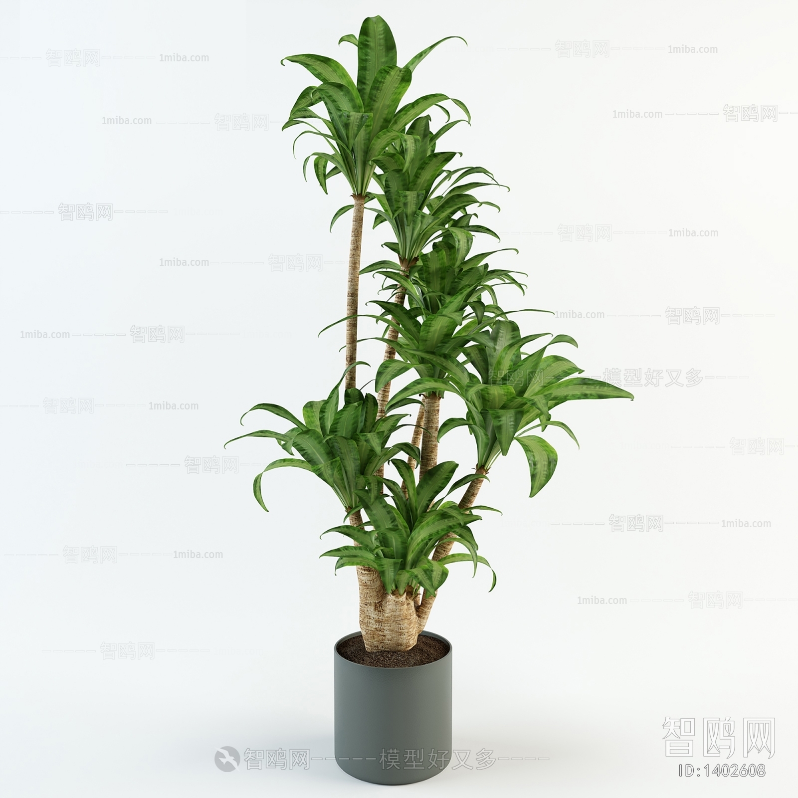 Modern Potted Green Plant