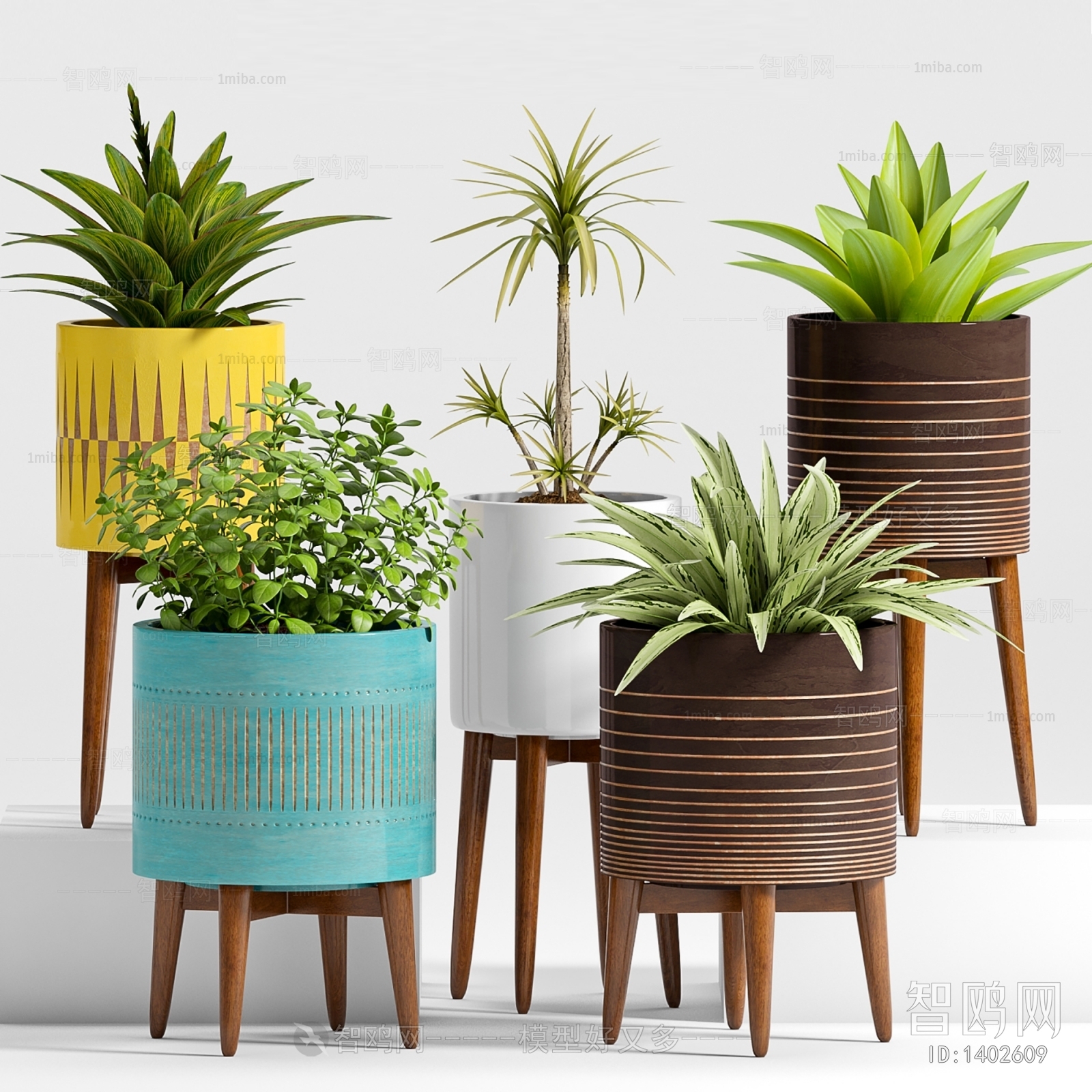 Modern Potted Green Plant