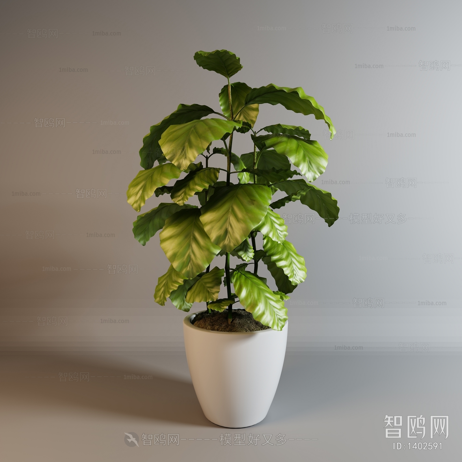 Modern Potted Green Plant