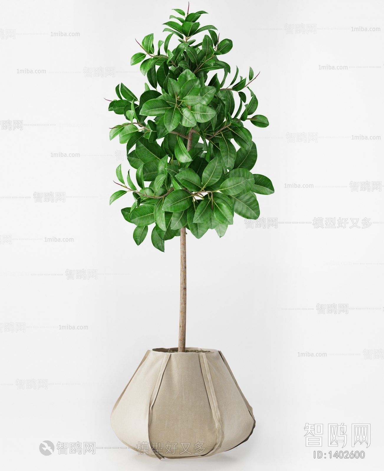 Modern Potted Green Plant