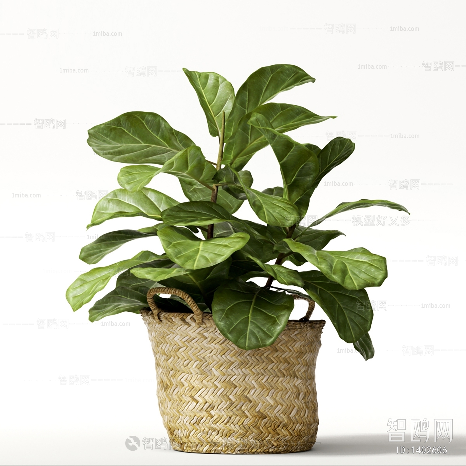 Modern Potted Green Plant