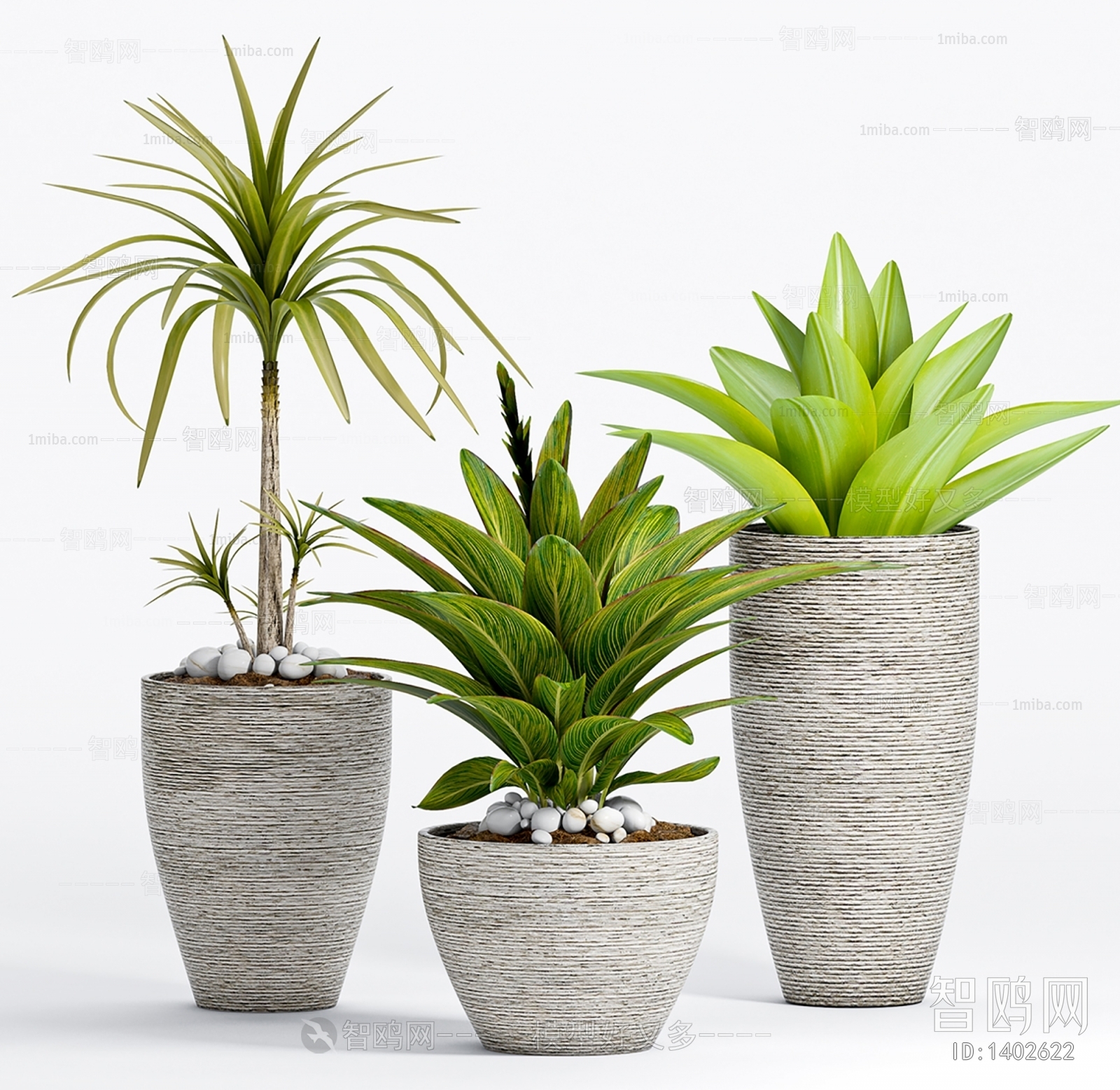 Modern Potted Green Plant