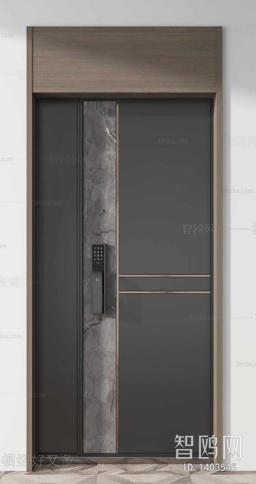 Modern Entrance Door