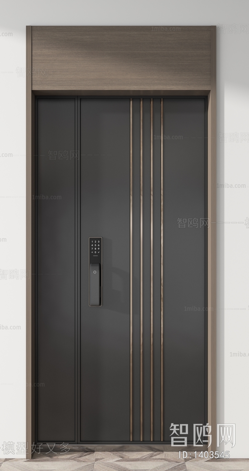 Modern Entrance Door