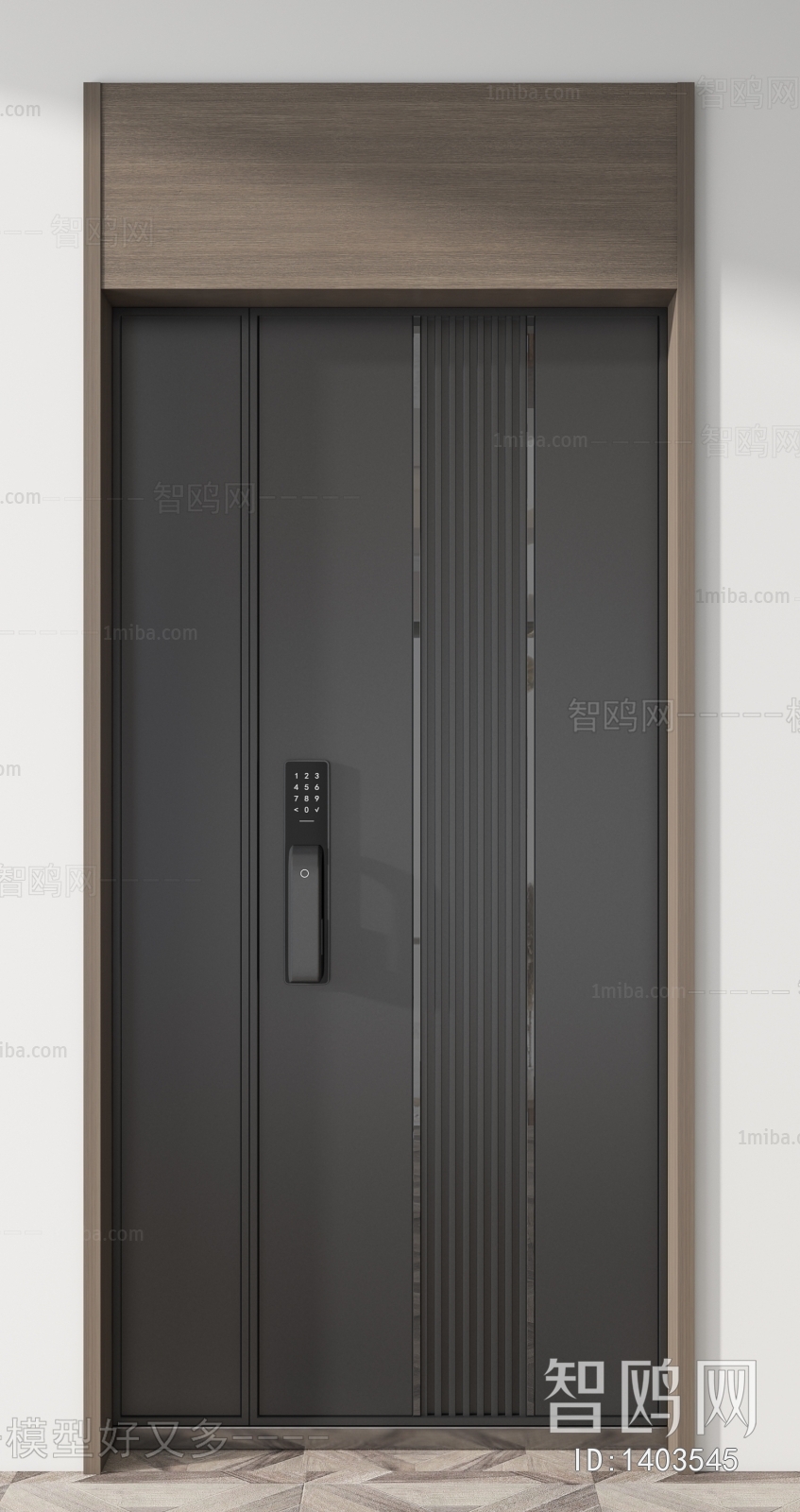 Modern Entrance Door