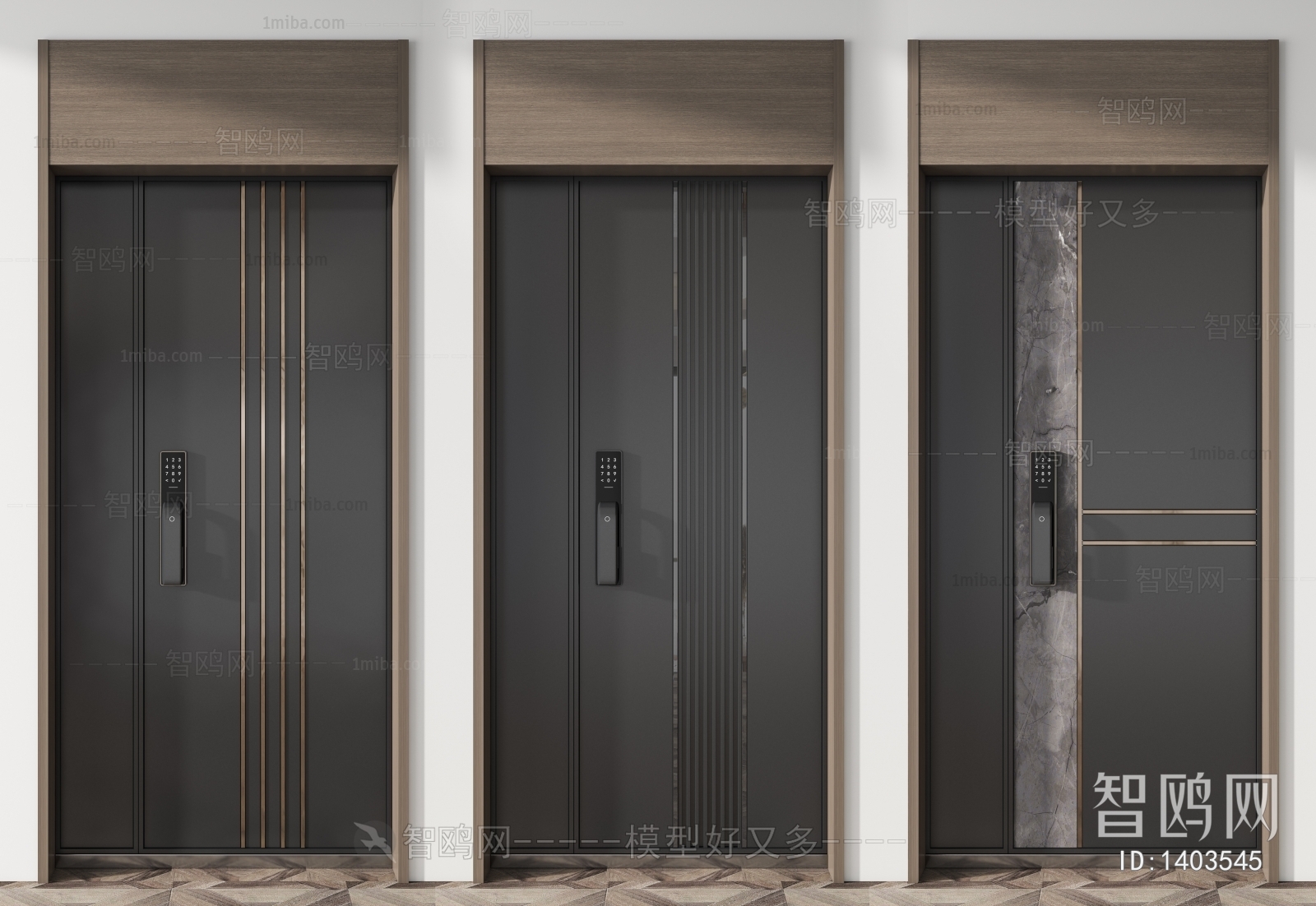 Modern Entrance Door