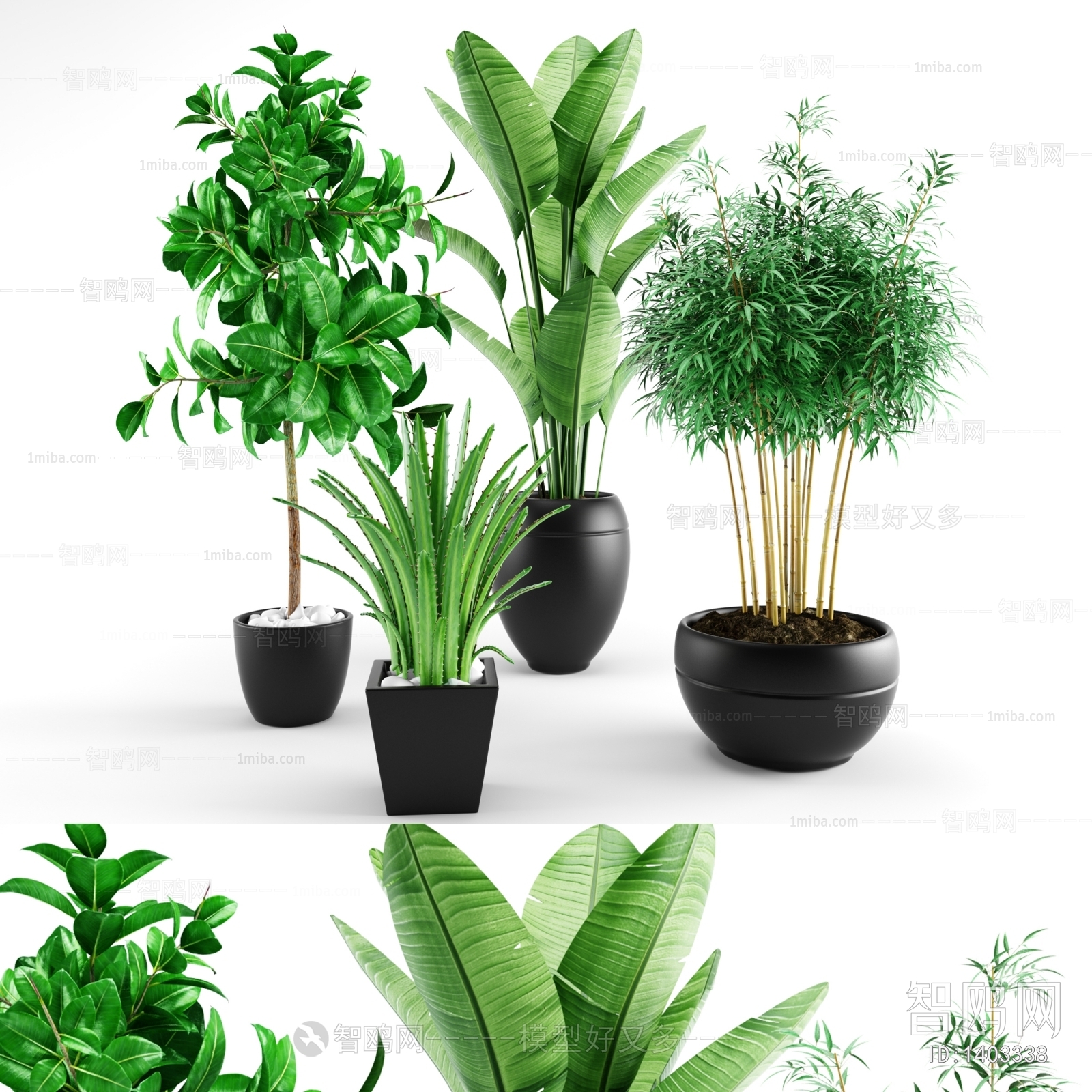 Modern Potted Green Plant