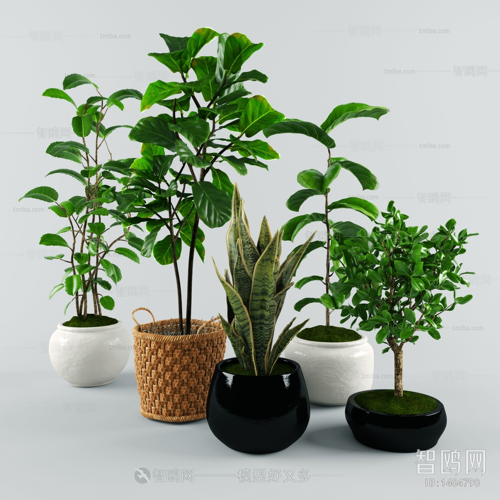 Modern Potted Green Plant