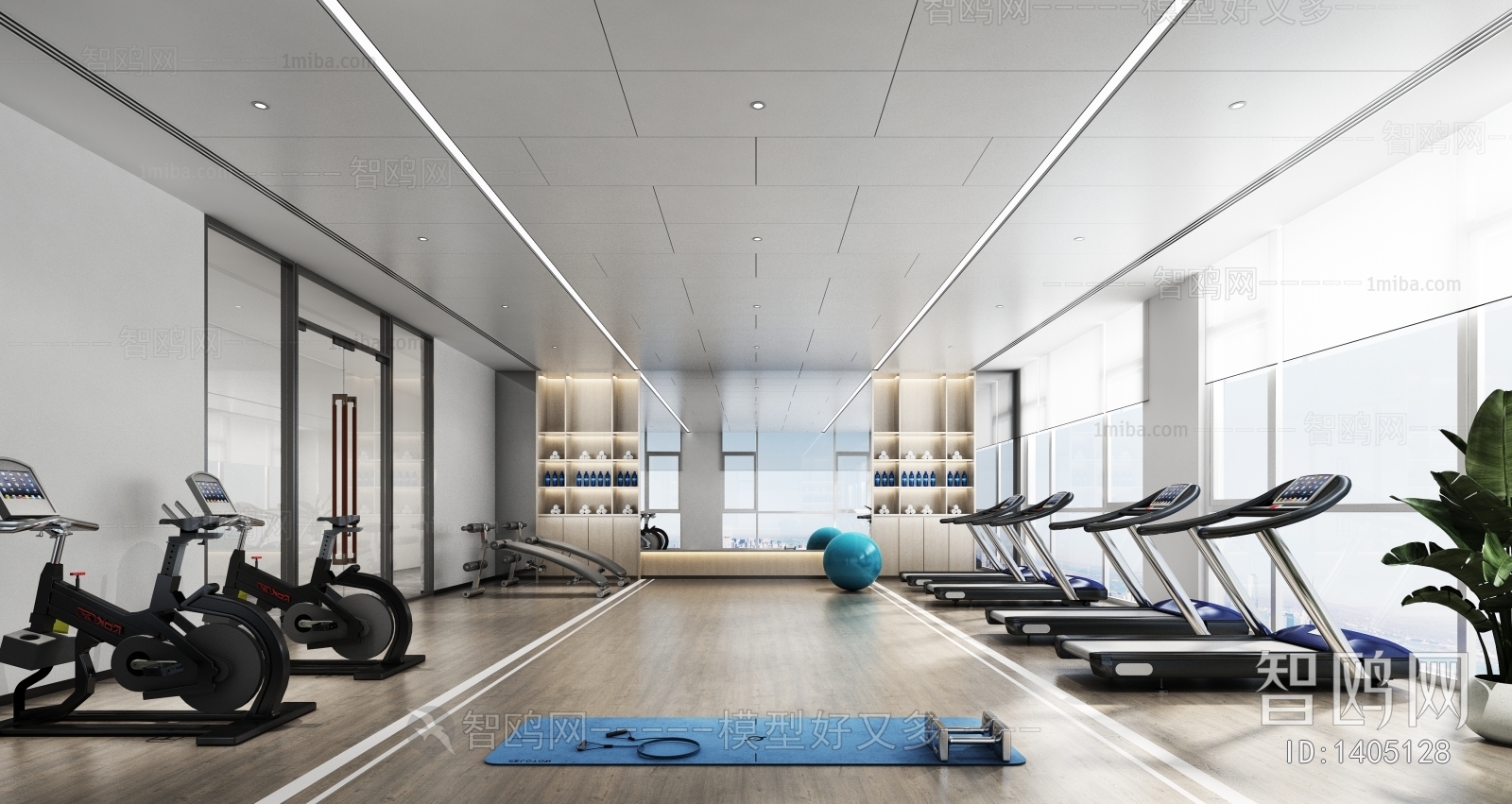 Modern Gym