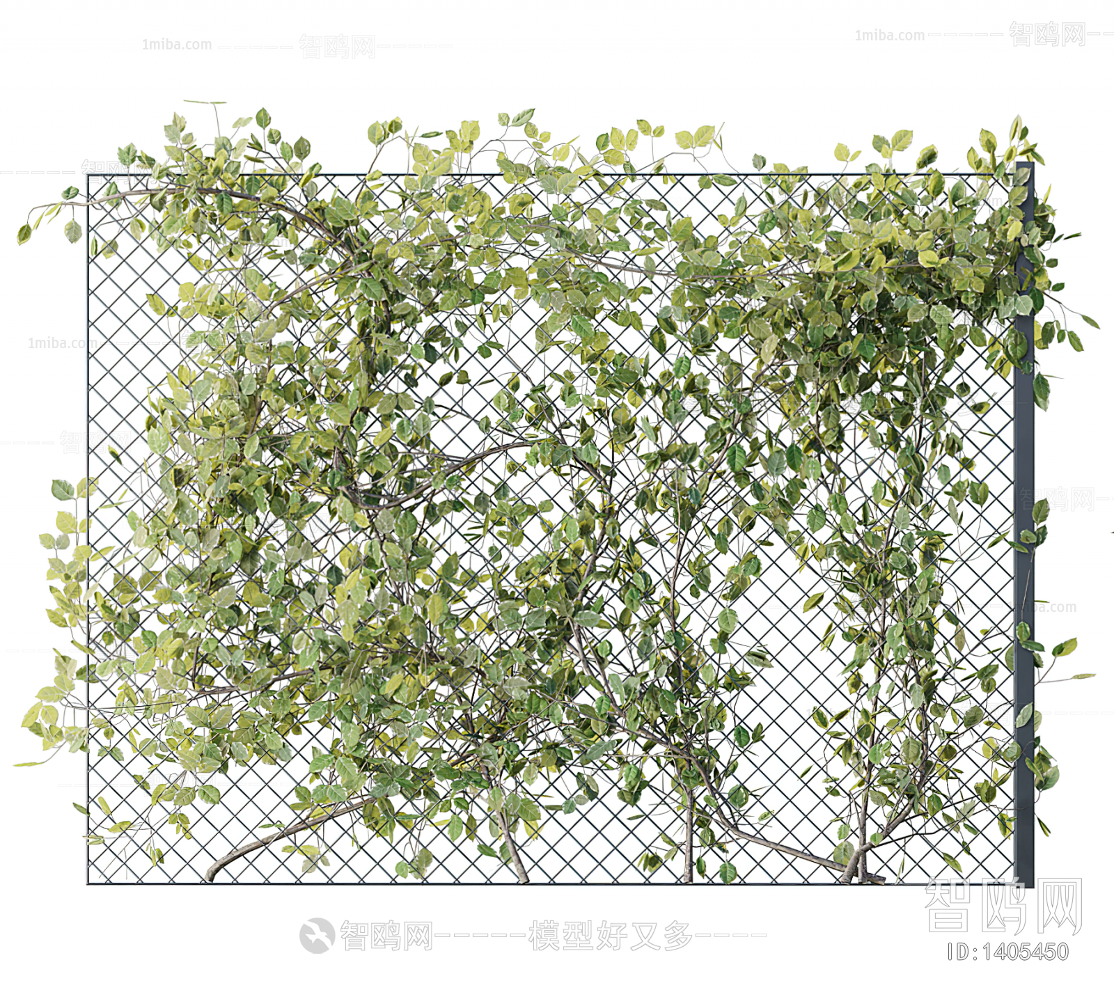 现代铁丝网 爬山虎植物墙