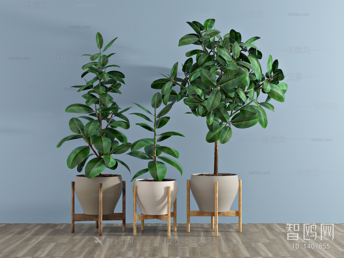 Modern Potted Green Plant