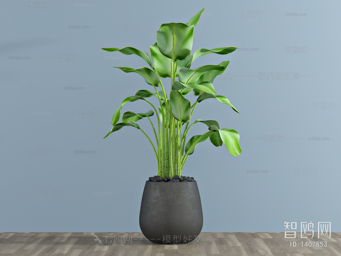 Modern Potted Green Plant