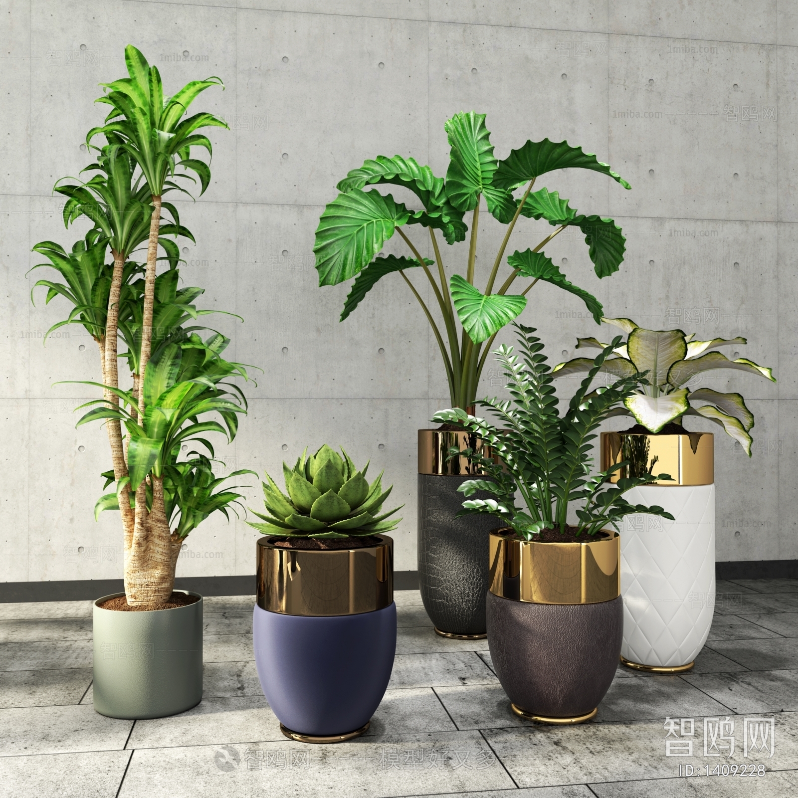 Modern Potted Green Plant