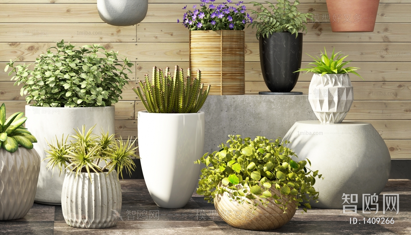 Modern Potted Green Plant