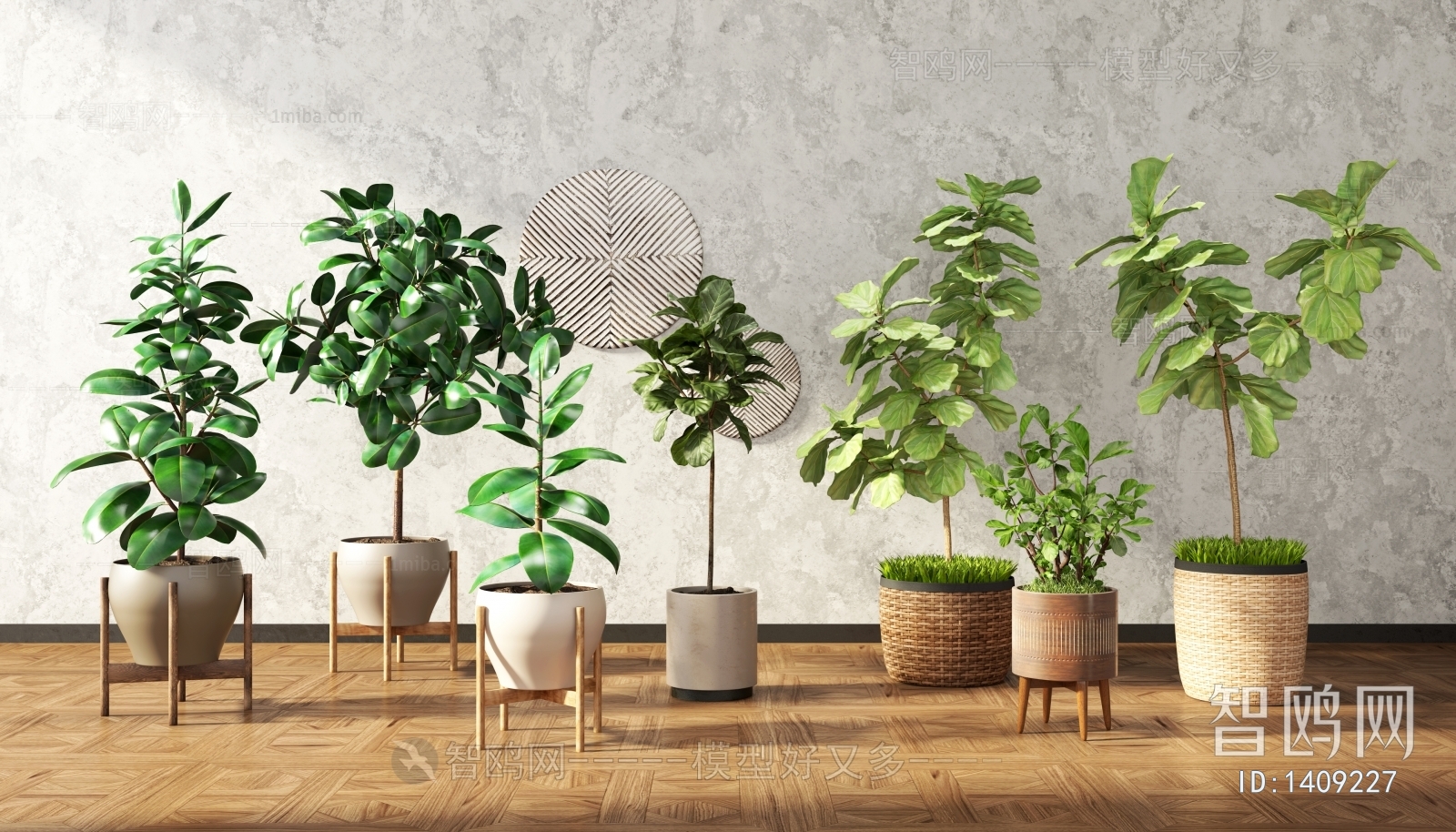 Modern Potted Green Plant