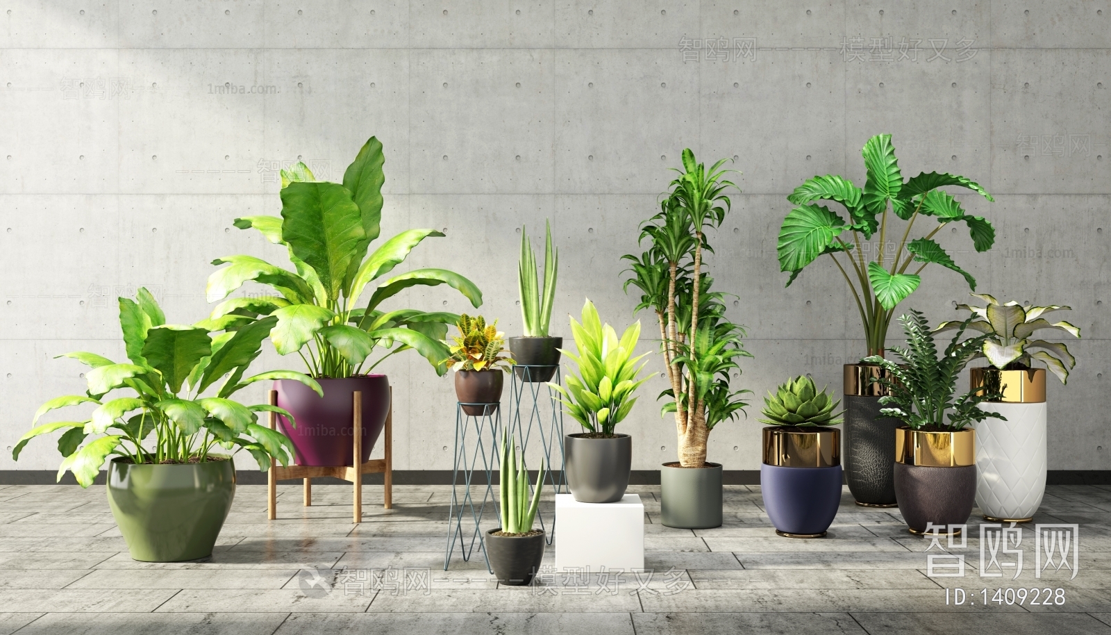 Modern Potted Green Plant