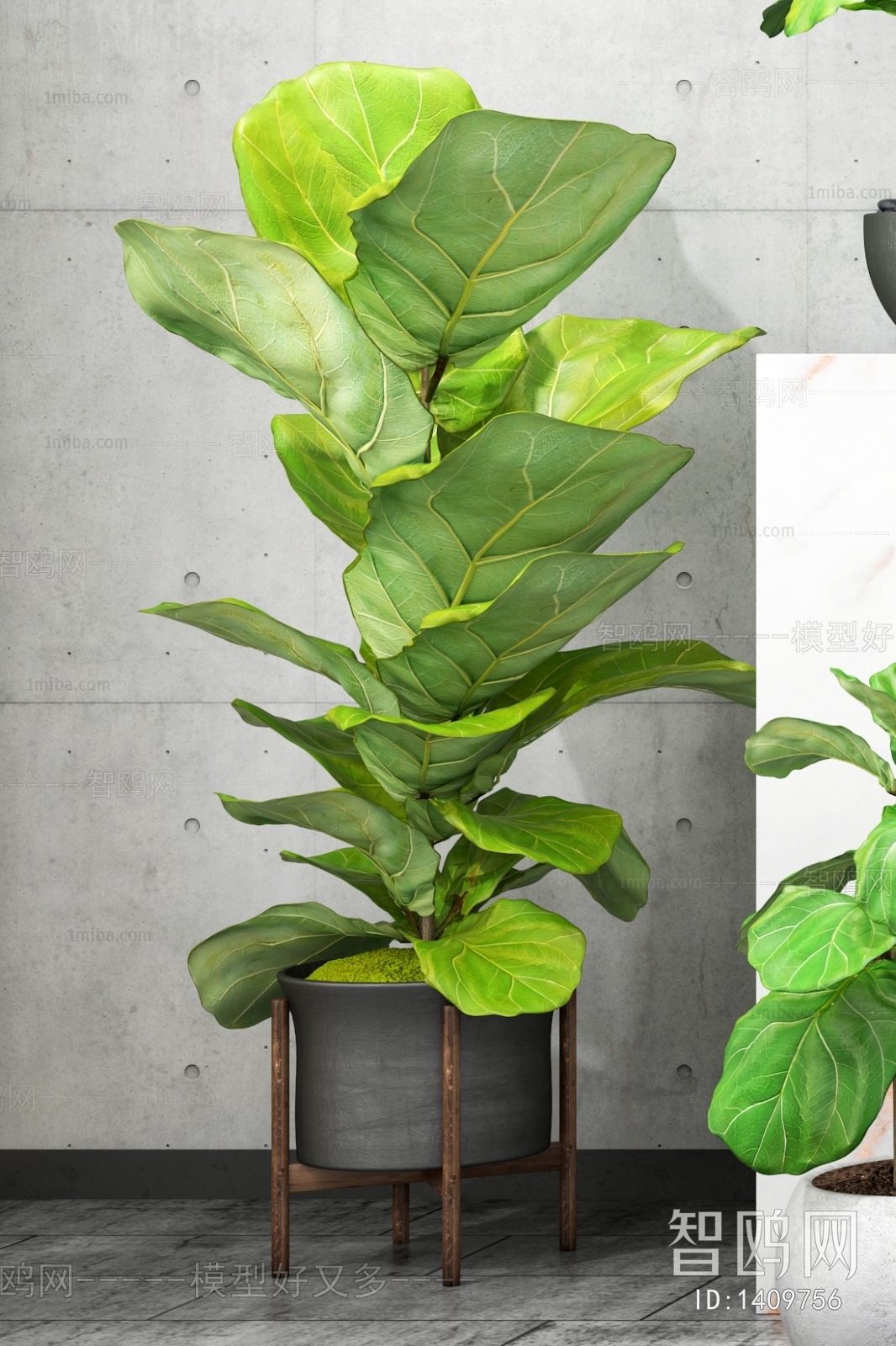 Modern Potted Green Plant