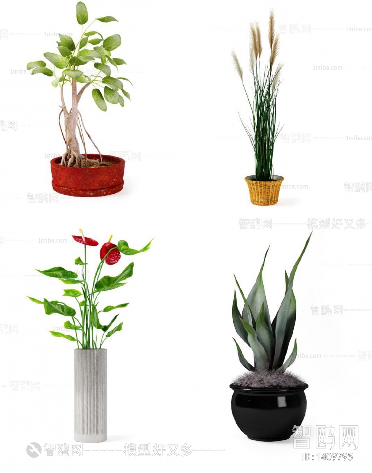 Modern Potted Green Plant