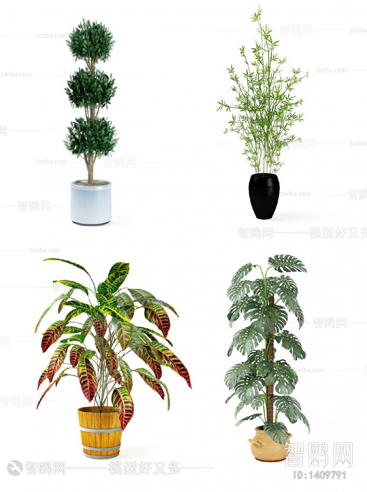 Modern Potted Green Plant