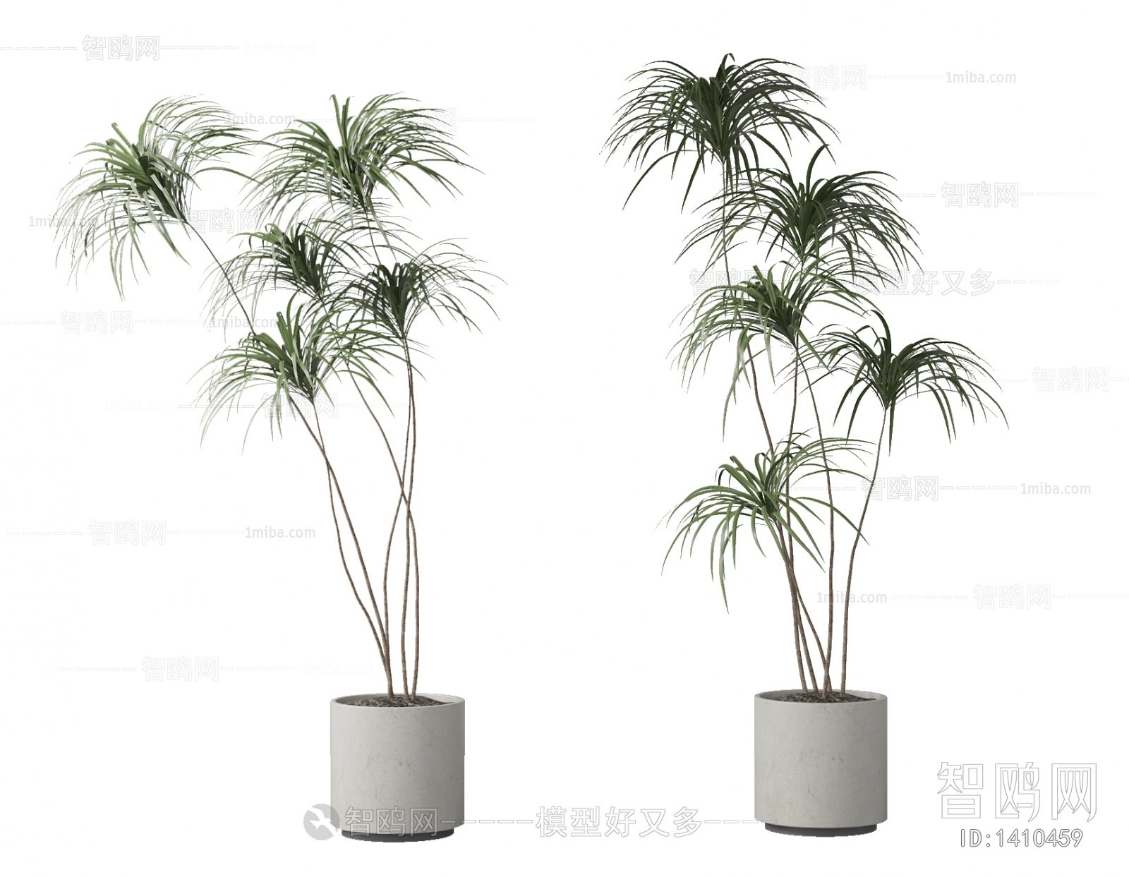 现代绿植盆栽