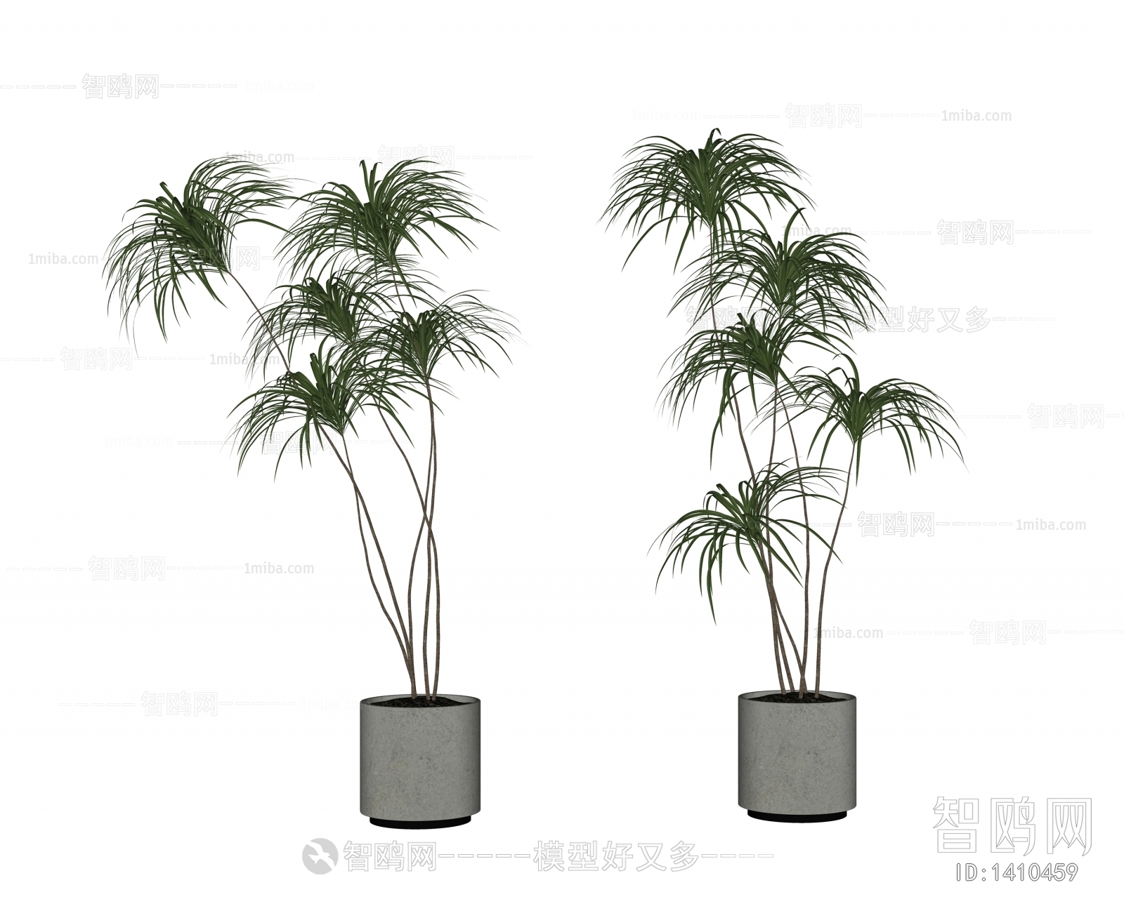 现代绿植盆栽