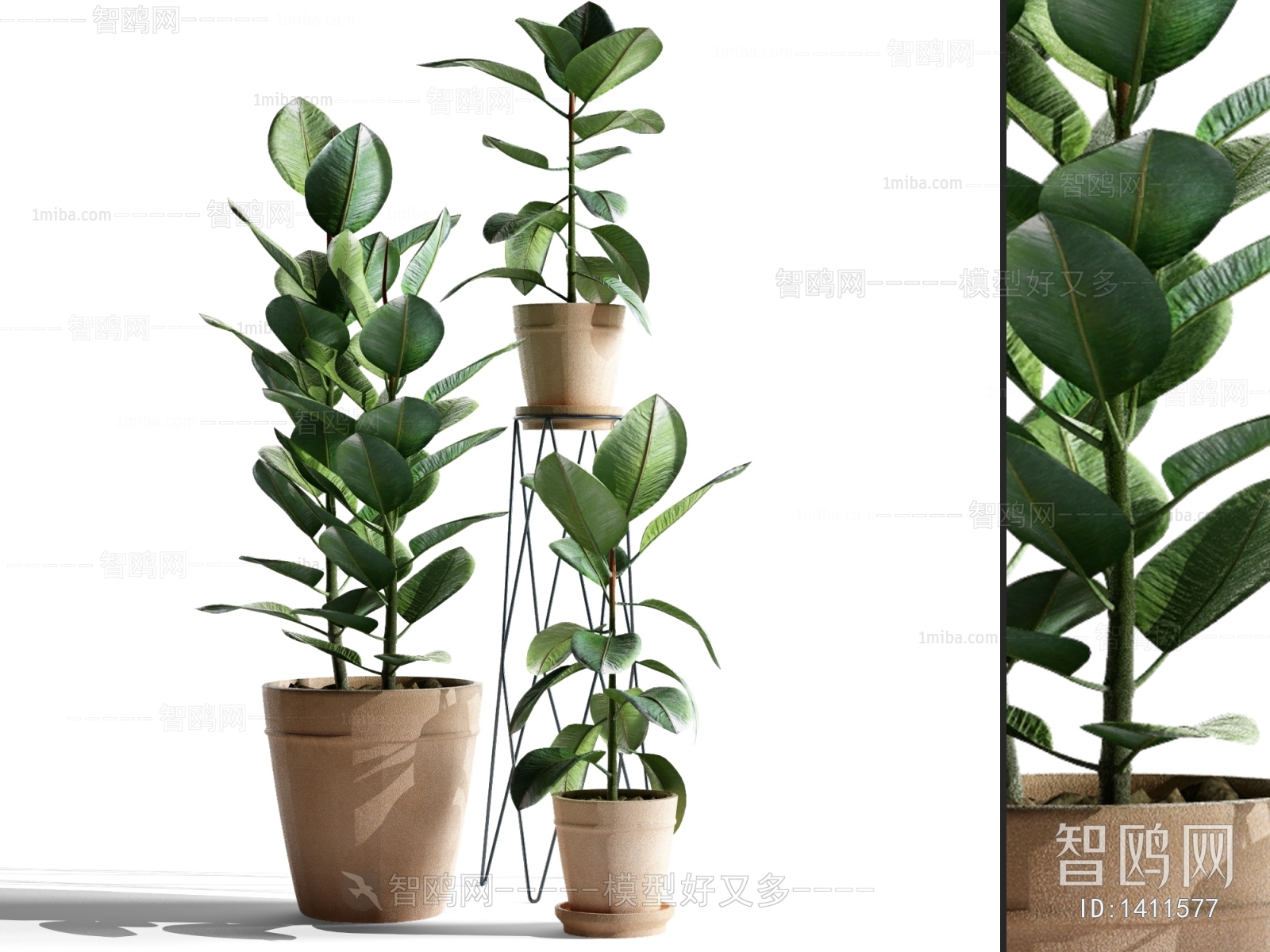 Modern Potted Green Plant