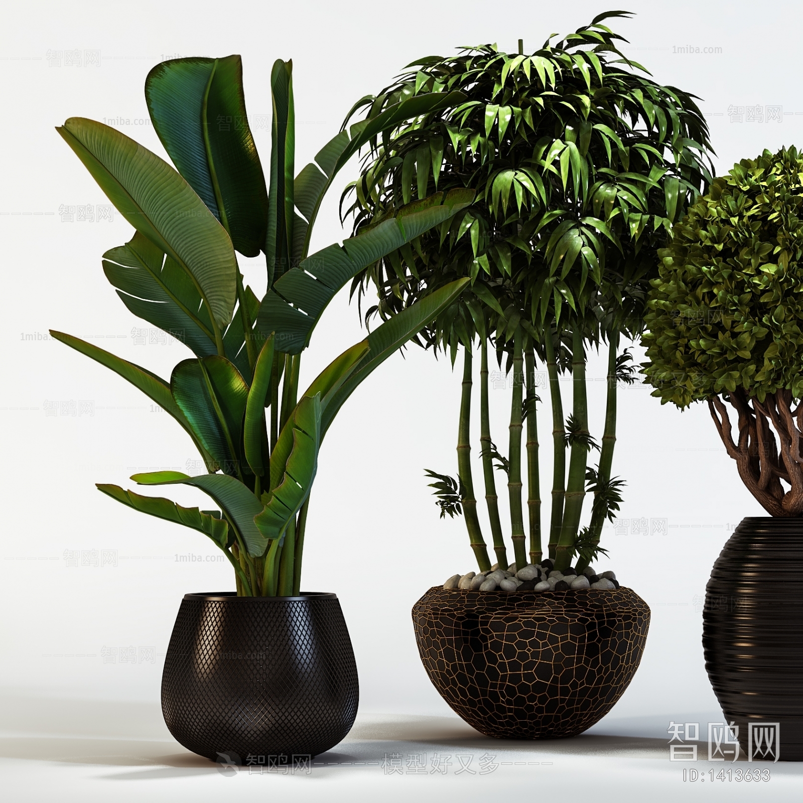 Modern Potted Green Plant