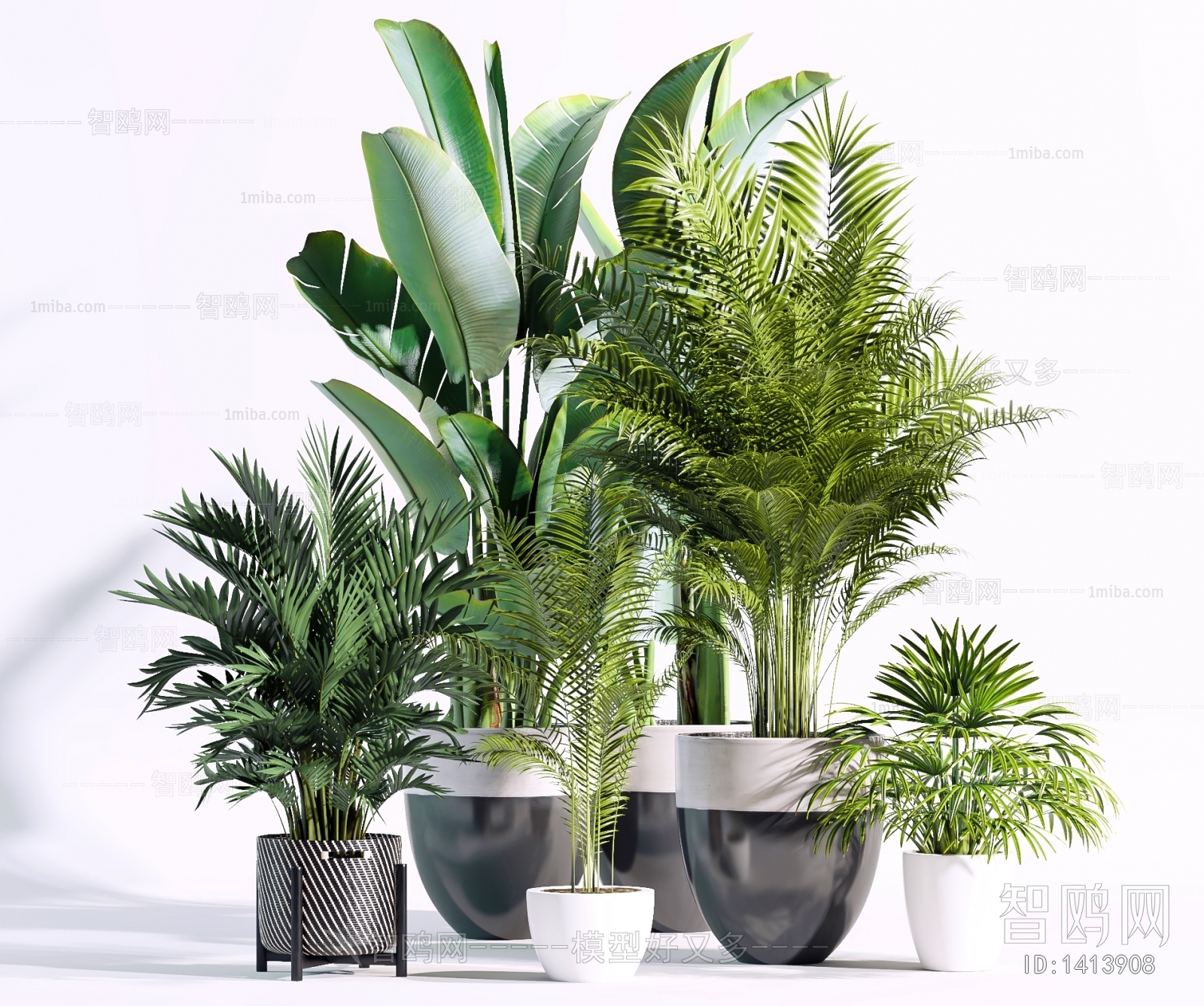 Modern Potted Green Plant