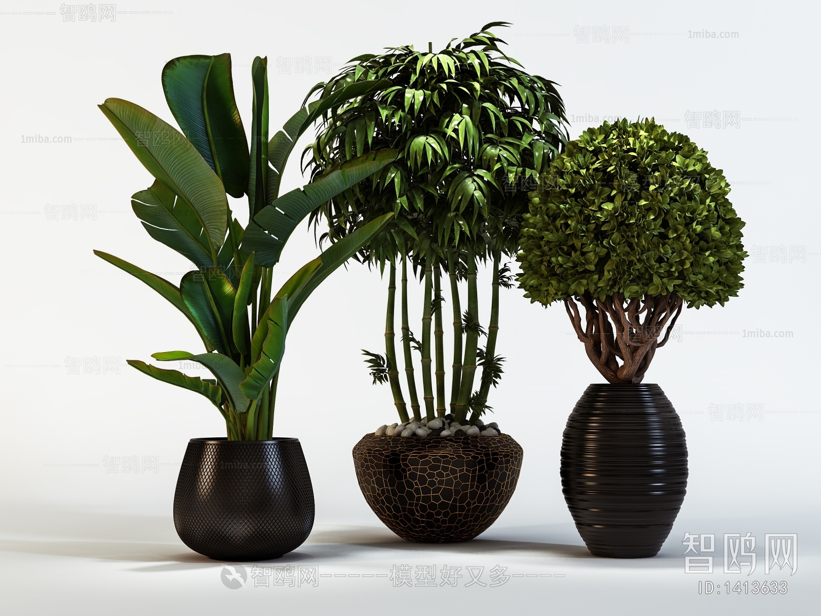 Modern Potted Green Plant